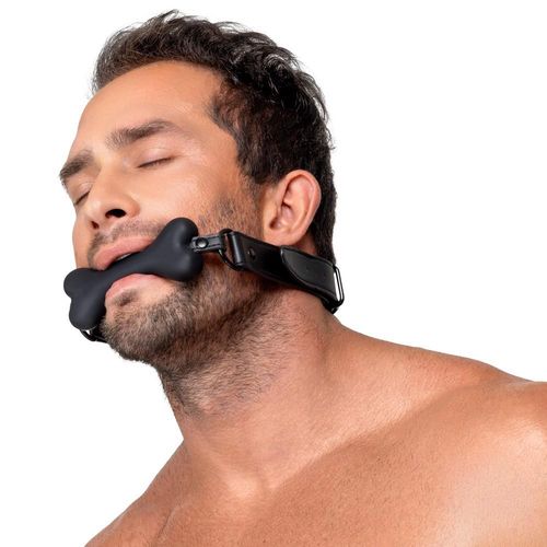 bad kitty gag dog bone na Arena.pl