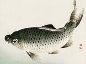 Plakat 80x60cm Carp, Kōno Bairei Japoński Vintage do Salonu