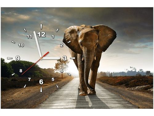 60CM 40CM ZEGAR OBRAZ SŁOŃ DRUK PŁÓTNO RAMA na Arena.pl