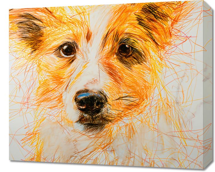 Obraz 60x50cm Uroczy Gość zdjęcie 1