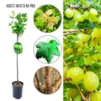 product-compare-64803949