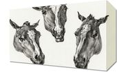 Obraz 30x20cm Trzy Głowy Koni, Jean Bernard Vintage do Salonu