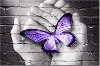 100 70CM OBRAZ PŁÓTNO MOTYL DŁONIACH PŁÓTNO RAMA