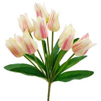 product-compare-52483917