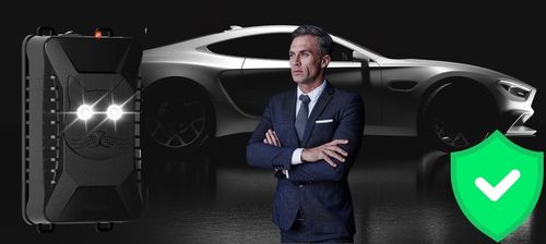 Samochodowy ODSTRASZACZ gryzoni na KUNY do AUTA ultradzwiekowy na na Arena.pl