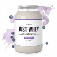ODŻYWKA BIAŁKO SERWATKOWE JUST WHEY WPC WPI WPH GymBeam 2000g jagoda