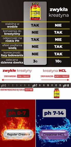 Moc i Siła Kreatyna HCL Kapsułki + Booster Testosteronu +Hormon Wzrostu GH na Arena.pl