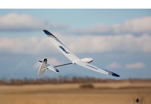 Whipit DLG Bind & Fly Basic na Arena.pl