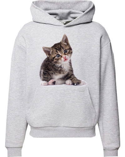 Bluza z kapturem z Kotem na Arena.pl