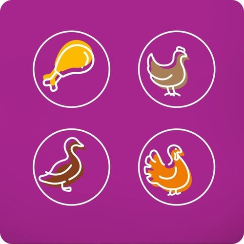 MOKRA KARMA DLA KOTA WHISKAS DROBIOWE SMAKI W GALARETCE 80x85G na Arena.pl