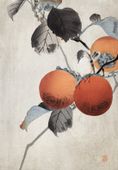 Plakat 68x98cm Nuthatcher, Koson Japoński Vintage do Salonu