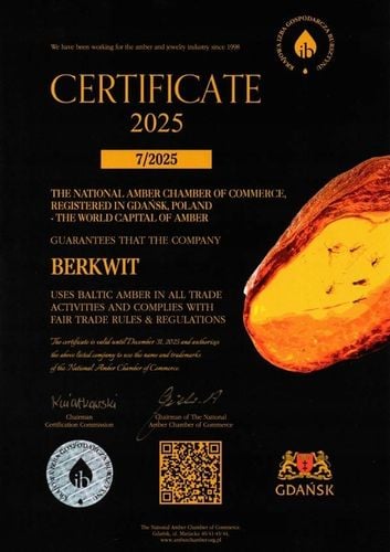 NASZYJNIK NA ZĄBKOWANIE BURSZTYN FASOLKA NIEPOLEROWANY na Arena.pl