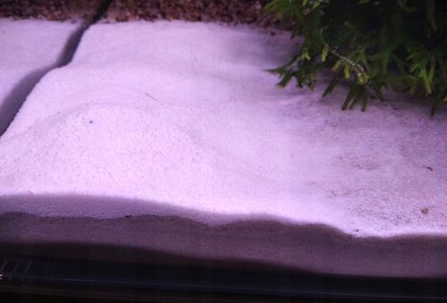 Biały, śnieżnobiały piasek do akwarium PREMIUM na Arena.pl