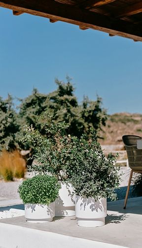 DONICZKA OSŁONKA NA KWIATY WKŁAD HEOS BIAŁA 30CM na Arena.pl