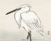 Plakat 50x40cm Snowy Egret, Kōno Bairei Japoński Vintage do Salonu
