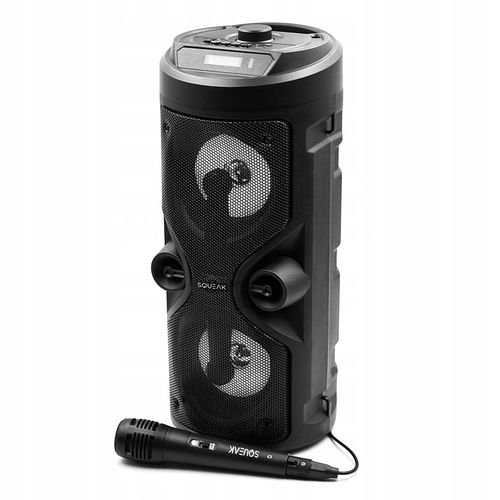 Głośnik karaoke SQUEAK Harmony Bluetooth 5.0 na Arena.pl