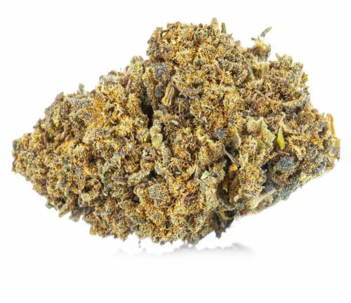 CBD SUSZ KONOPNY | AK 47 | PREMIUM 2g na Arena.pl