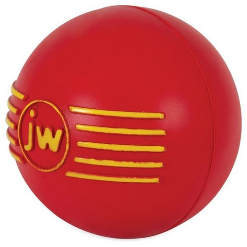 JW Pet iSqueak Ball Medium [32124D] na Arena.pl