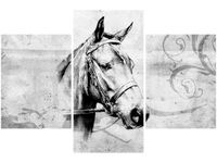 product-compare-58646300