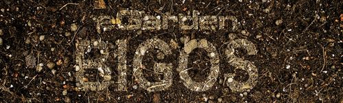 Podłoże BIGOS Lekka Ziemia do Monster i Filodendronów 20 L eGarden na Arena.pl