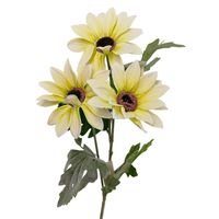 product-compare-61190673