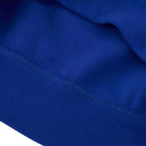 Bluza Champion Hooded M 220253 BS008 M na Arena.pl