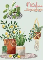 product-compare-60951714