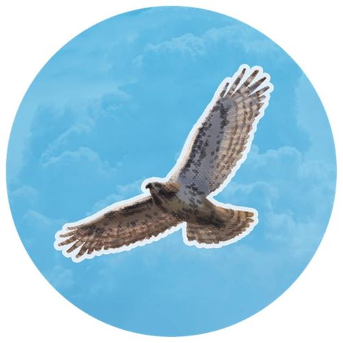 Gra Kaskadia Pomniki przyrody na Arena.pl