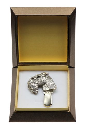 Kerry Blue Terrier - klips - 2564 na Arena.pl