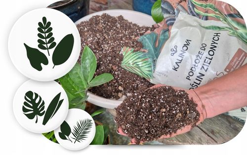 Podłoże Bigos Lekka Ziemia do kwiatów roślin zielonych 8L Mieszanka na Arena.pl