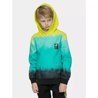 Bluza chłopięca bawełniana z kapturem 4F 4FJWSS25TSWSM2339-90A 164