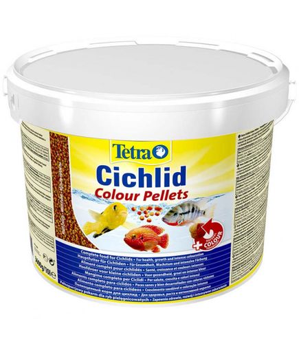 tetra cichlid colour 10l na Arena.pl