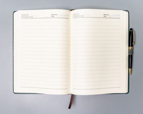 notes ptn not-6-ln-51-9102 green na Arena.pl