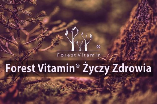 APIGENINA 25g APIGENIN CZYSTA 98% ZDROWIE MOCNA 125 PORCJI na Arena.pl