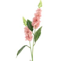 Ostróżka x2 jasny róż