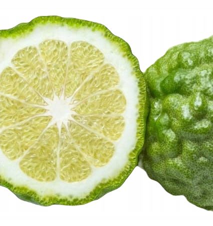 3x YODEYMA PERFUMY DAMSKIE LINET DLA KOBIET 15 ML na Arena.pl