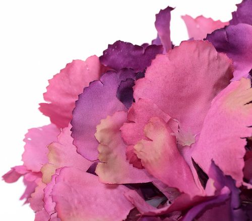 Hortensja wyrobowa na Arena.pl