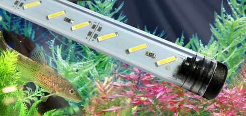 Świetlówka LED oświetlenie AKWARIUM 8520 50cm na Arena.pl