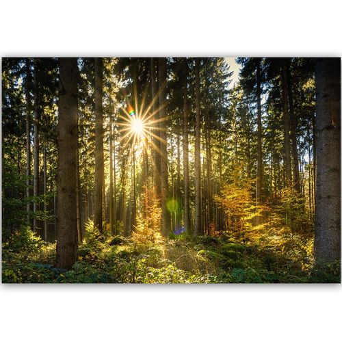 Deco Panel, Słońce w lesie 120x80 na Arena.pl