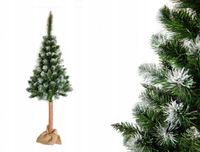 choinka sztuczna SOSNA DIAMENTOWA NA PNIU 180 CM 161 - 180 cm