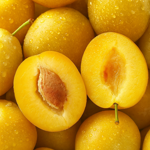 ŚLIWA WĘGIERKA BIAŁA - sadzonki 90 / 140 cm na Arena.pl