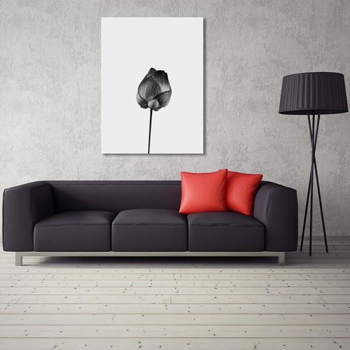 Obraz na płótnie - Canvas, Pojedynczy kwiat 60x80 na Arena.pl