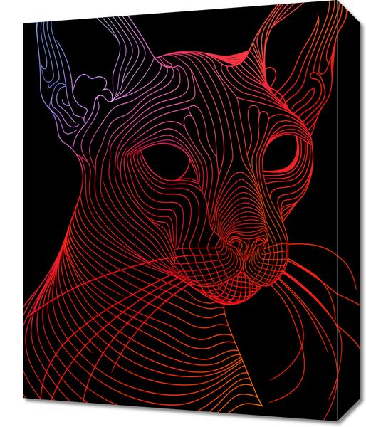 Obraz 40x50cm Cyfrowa Kocica zdjęcie 1