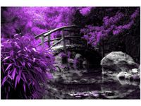 OBRAZ SECRET GARDEN MOST OGRÓD JAPONIA KOLORY