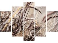 105CM 150CM OBRAZ 5 ELEM BUSZUJĄCY TRAWIE NINA MATTHEWS DRUK