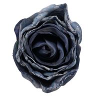 Róża wyr. podsuszana niebieska 12 szt