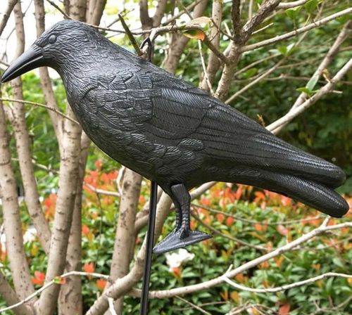 KRUK DUŻY ODSTRASZACZ GOŁĘBI PTAKÓW SZPAKÓW BALKON na Arena.pl