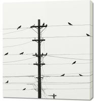 Obraz 90x100cm Symfonia na Drutach