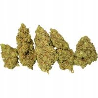 100G SUPER LEMON HAZE SUSZ KONOPNY CBD 33,54% EXCLUSIVE CERTYFIKOWANY