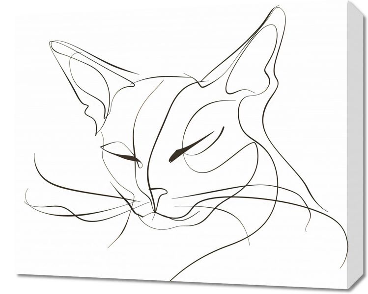 Obraz 60x50cm Linijny Kot zdjęcie 1